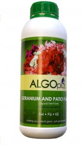 Algoplus will help geranium grow robustly