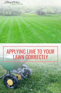 How to Apply Lime to Your Lawn? — Our Tips and Tricks