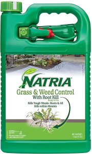 Natria will kill dandelion invasive plants at the roots