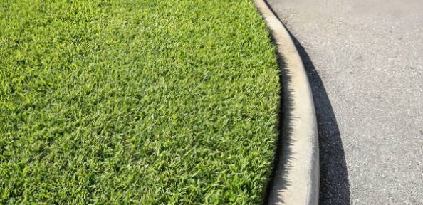Want The Best Centipede Grass Fertilizer 5 Of The Best that Work 