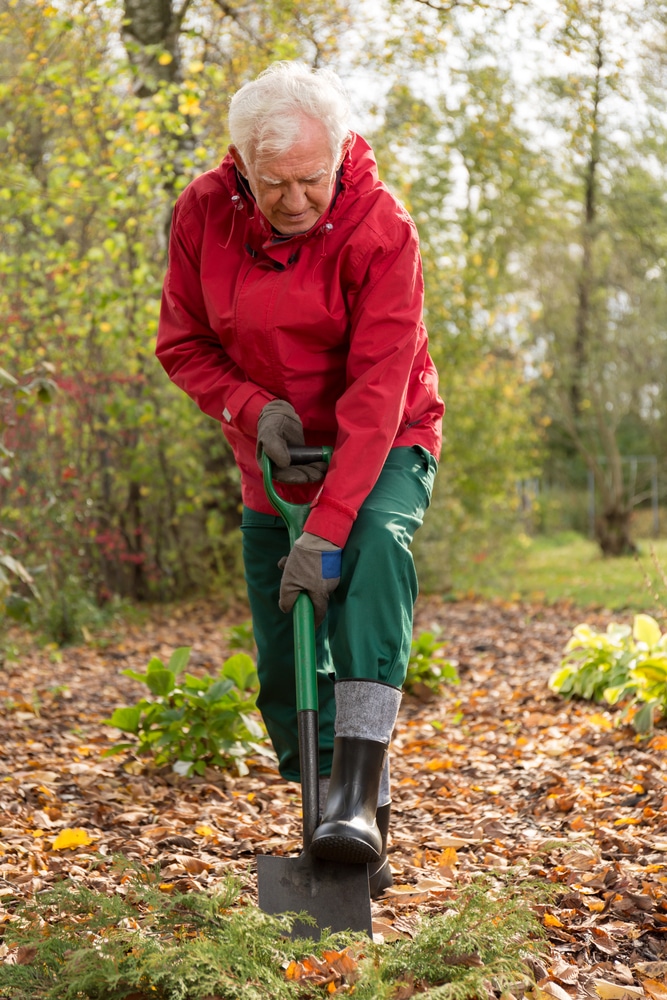Man putting shovel into the ground in the fall