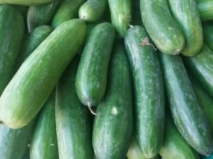How to Grow and Care for Cucumbers