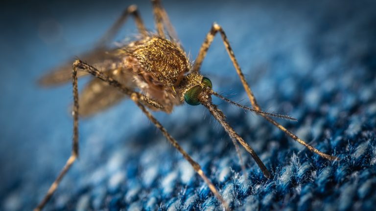 Mosquito nuisance repellent