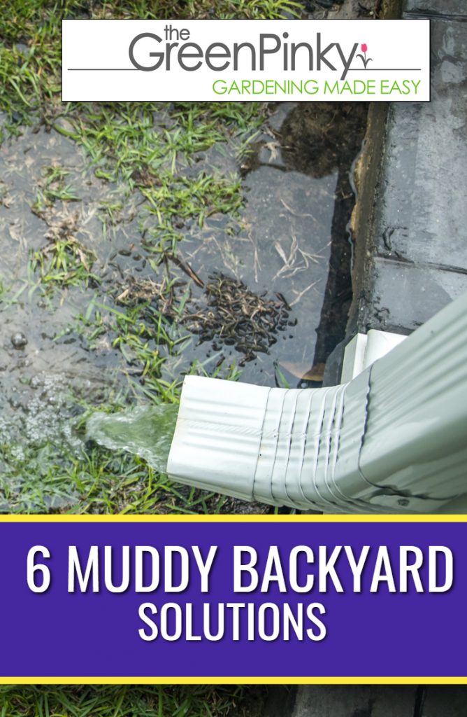 Muddy backyard from stagnant water needs to be fixed with a guide