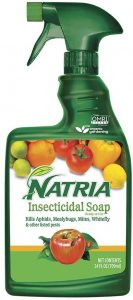 Natria's insecticidal soap can be used to control spider mites