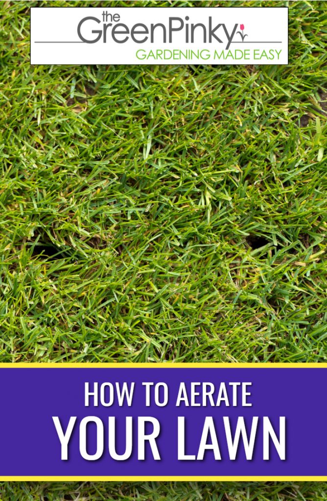 Aerate your lawn with practical tips and an in-depth guide.