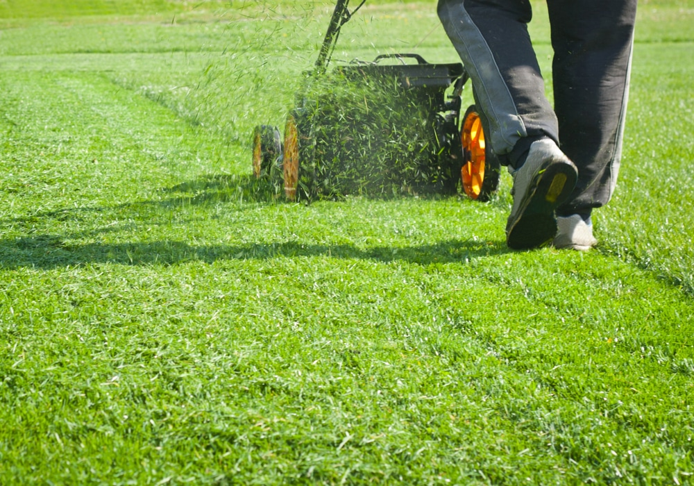 A man is mowing a lawn in the mid-day even though this is not recommended