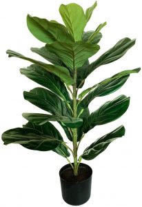 artificial fig tree adds beautiful aesthetics to a house