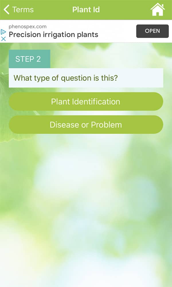 The second step in asking a horticulturist in the garden answers app