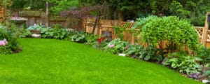 Creating a beautiful lawn is not difficult with a DIY guide