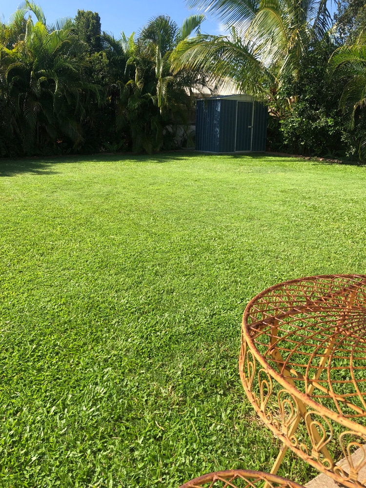 Healthy soil will result in a beautiful lawn.