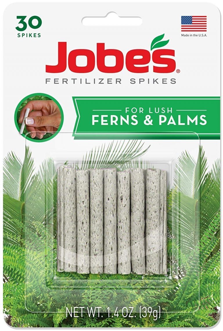 Want the Best Fern Fertilizer? 5 of the Best (that Work)