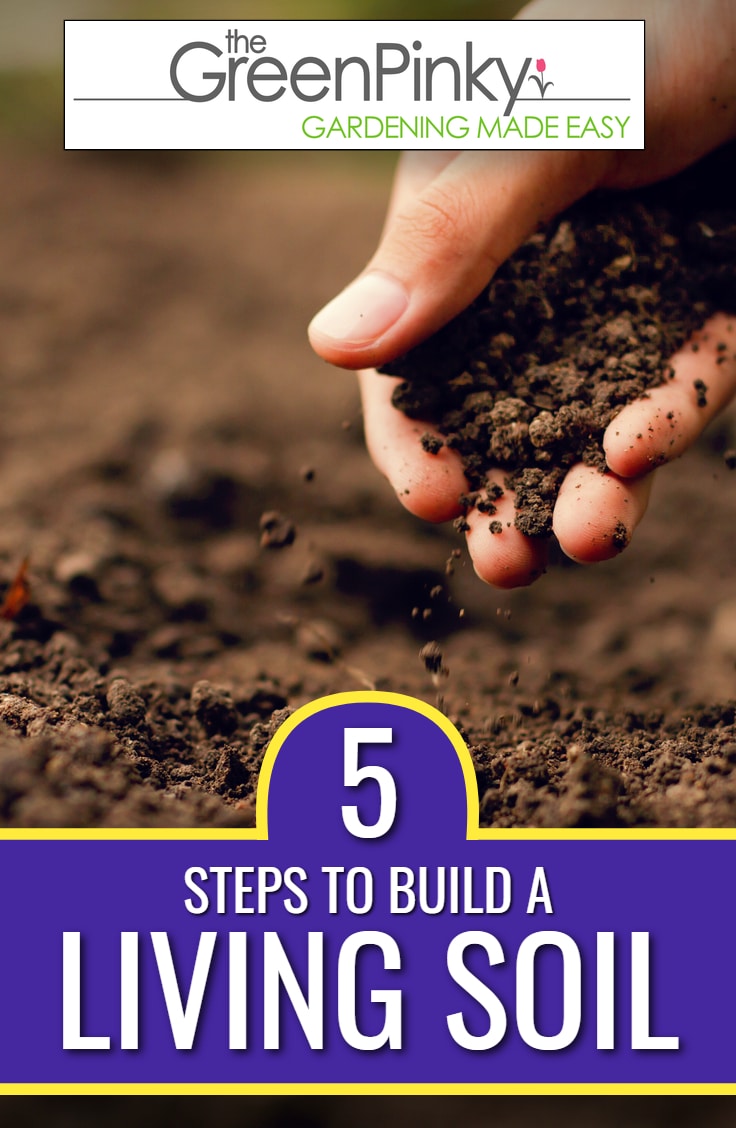 How To Build Up Soil – Soil Building For Gardens – KLTG