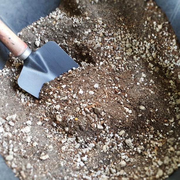 Sol qui se draine pour les cactus
