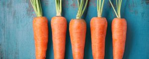 Carrot Sprouts and How to Identify Them