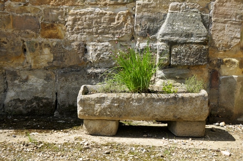 Cement trough planter Cement trough planter is creative