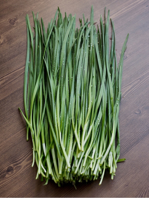 When grown with adequate nutrition and sun, chives can be harvested and used for cooking