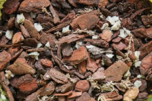 Coarse bark provides wonderful aeration to orchid roots