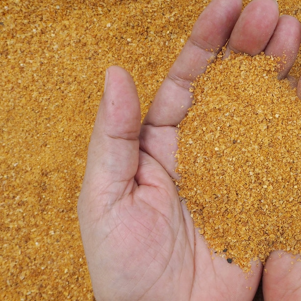 Corn gluten can be used as a form of weed control