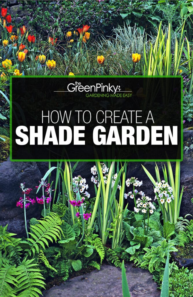 Create shade garden guide Creating and designing a shade garden is not difficult with a proper guide.