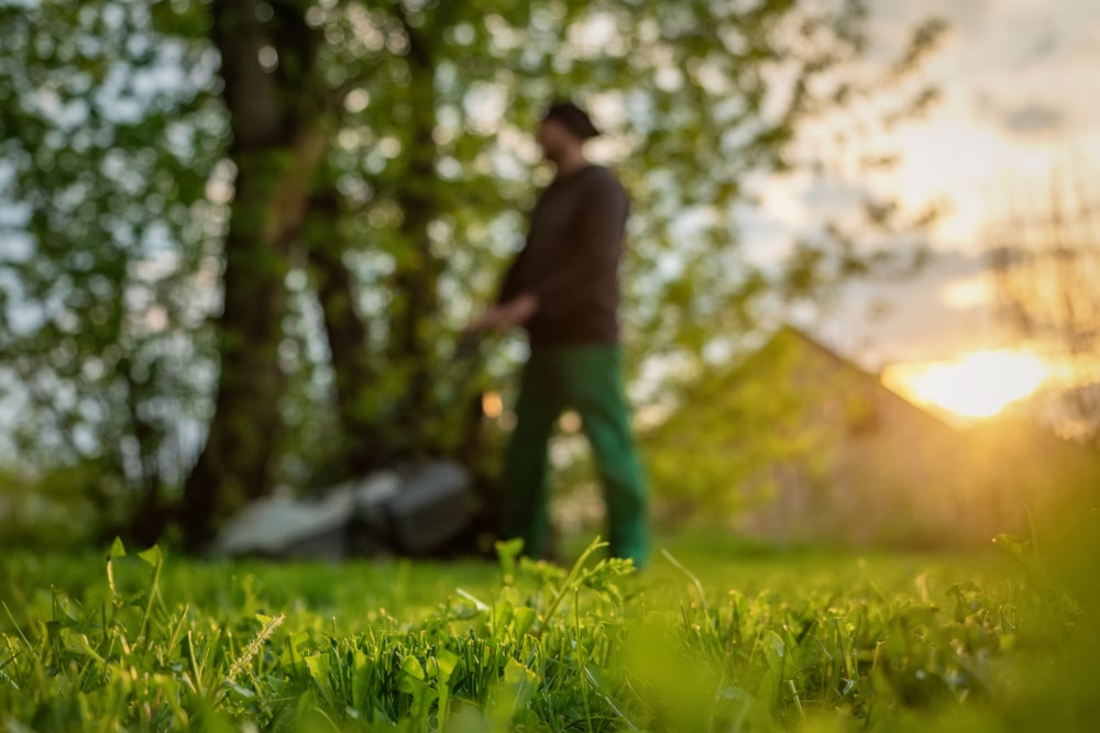 Cutting lawn in morning can disturb neighbors