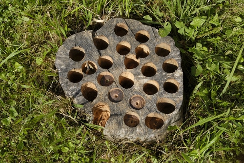 Drilling holes in stumps properly accelerates the rotting process