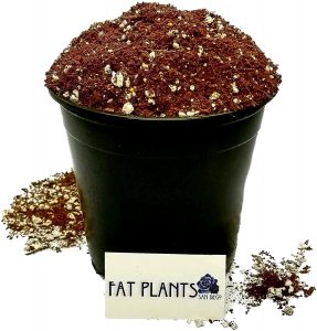 Fat plants mix for cacti roots and optimal growth
