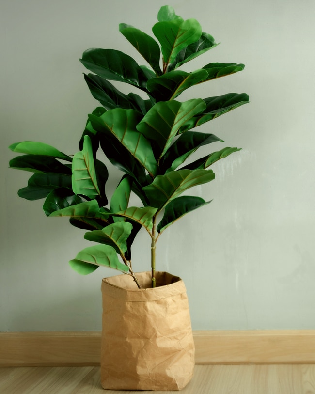 Faux fiddle leaf fig tree in a brown bag