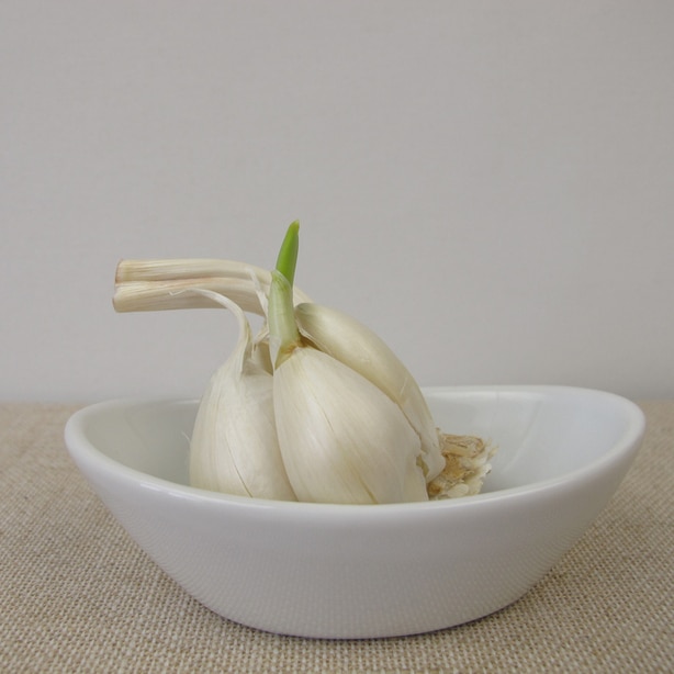 Garlic shoots are easy and can be tasty if cooked properly