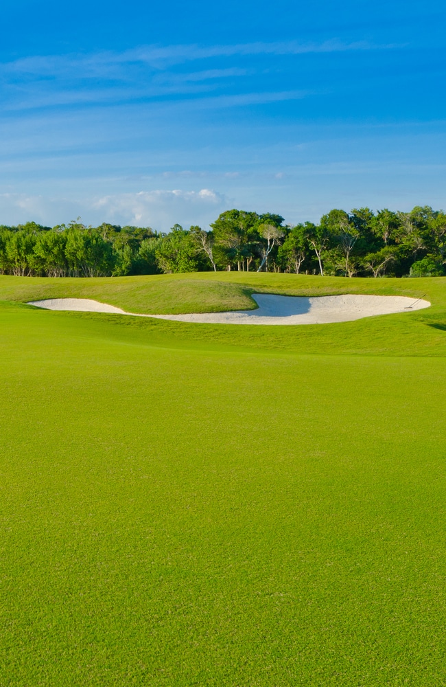 Many golf courses use lawn sand to help create beautiful lawns