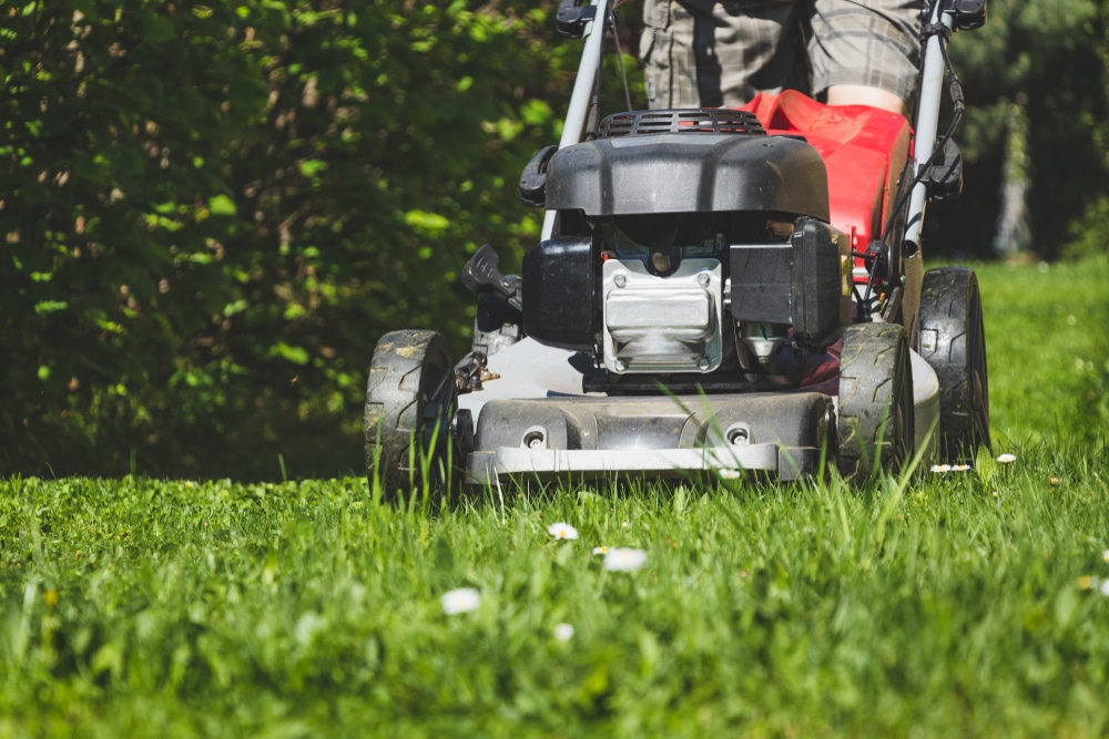 Let grass clippings stay on the yard or you  can use it as mulch.