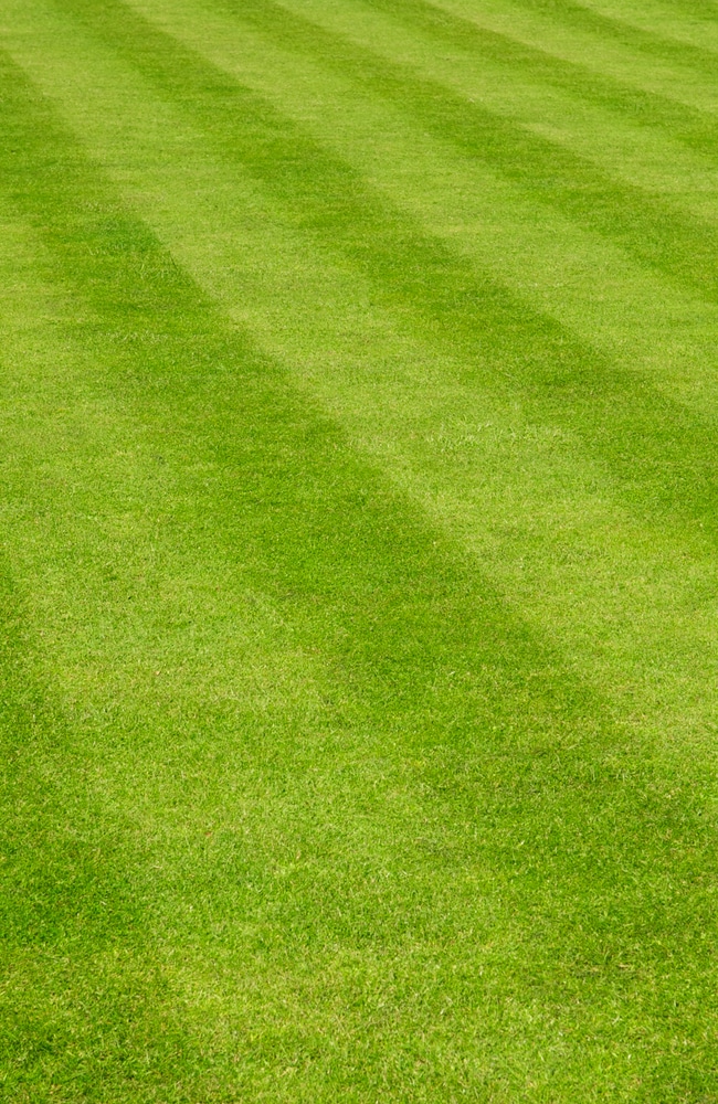 Grass stripes These grass stripes were created by advanced mowing techniques