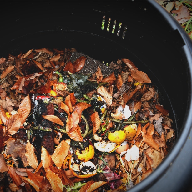 DIY compostin bin with green organic materials