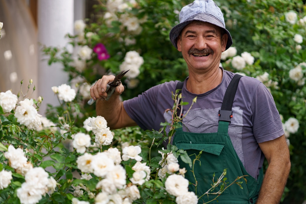 A happy male gardener is smiling and holding pruning scissors