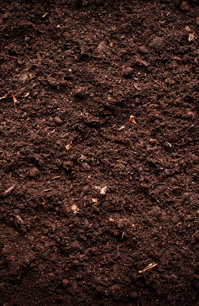 A picture of soil that is ready to have seeds planted into it.