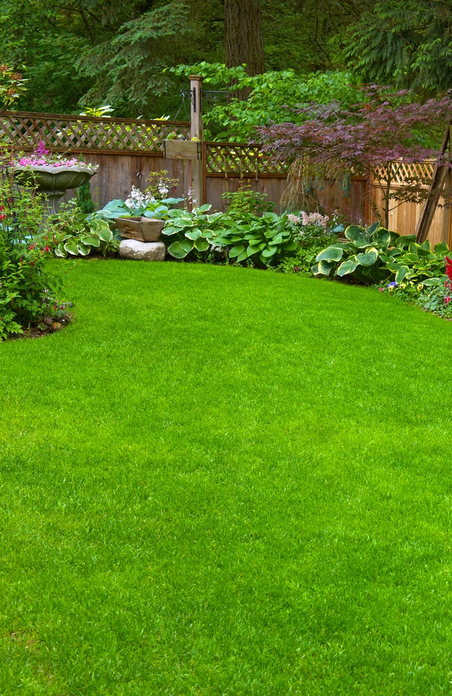Lawn sand can be used at home too