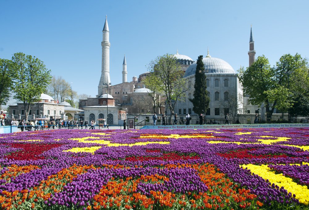 A bed of different colored roses in a specific pattern in istanbul