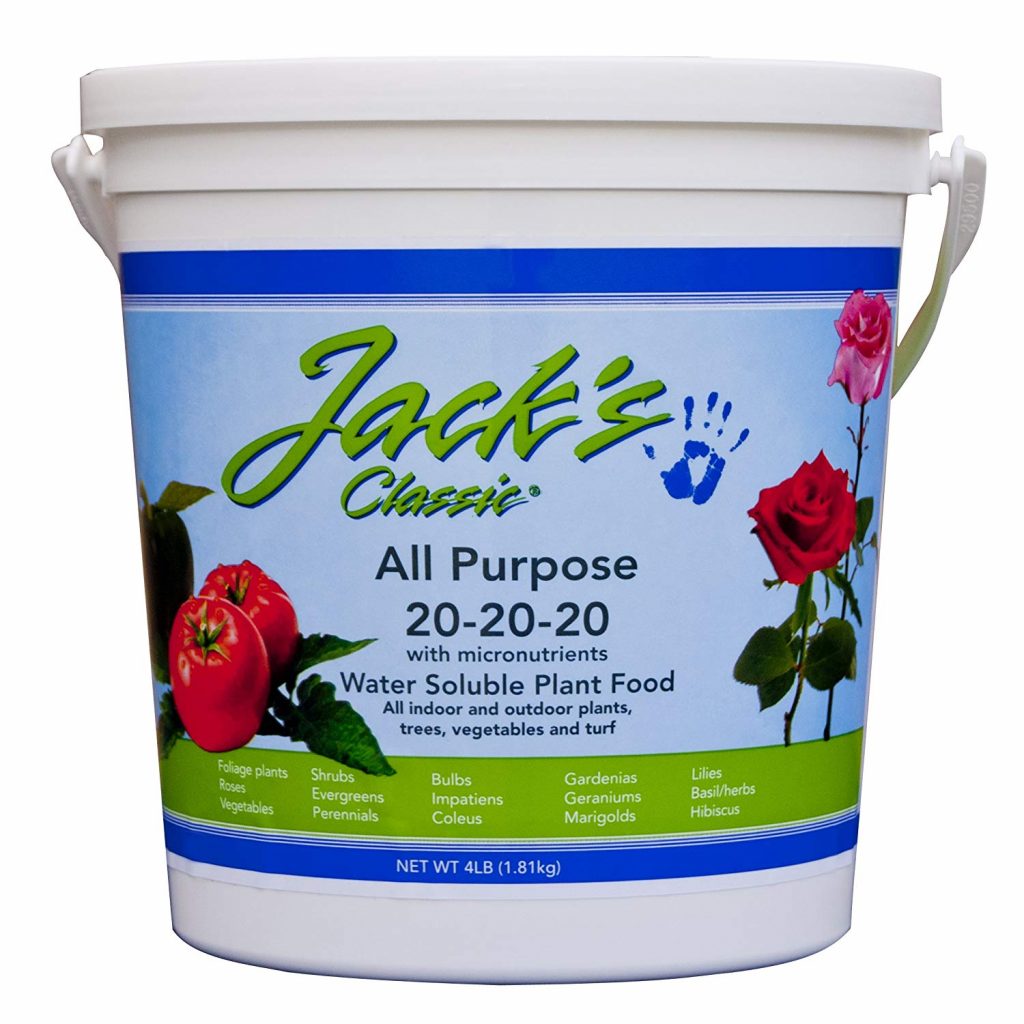 Want the Best Daylily Fertilizer? 5 of the Best (that Work)