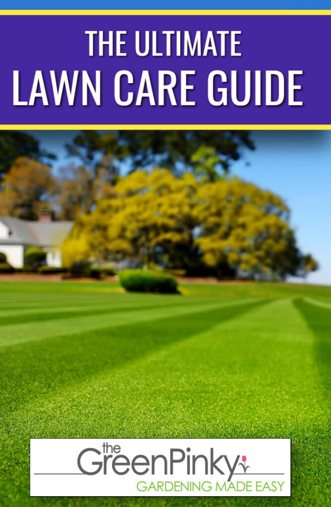 If you take care of your grass properly, it will be something you will become proud of.