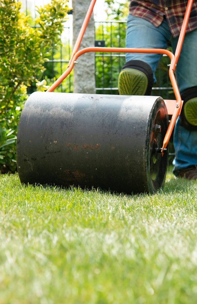 lawn roller A lawn roller pushes blades of grass in different directions to create patterns.