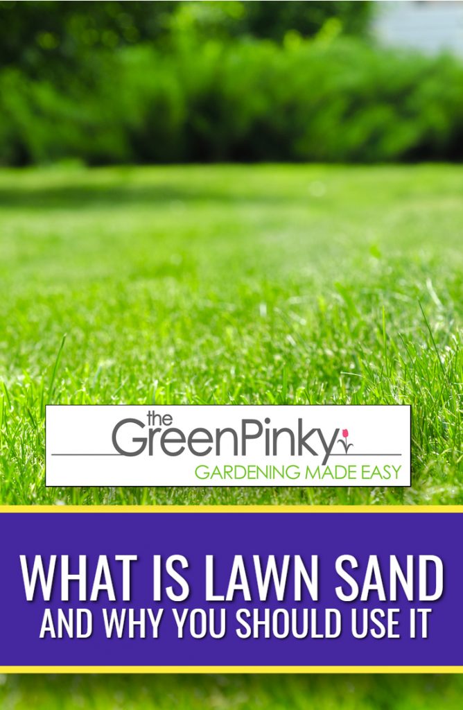 Proper technique needs to be used when using lawn sand through this guide