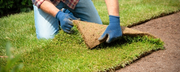 A man is laying down new sod to install it