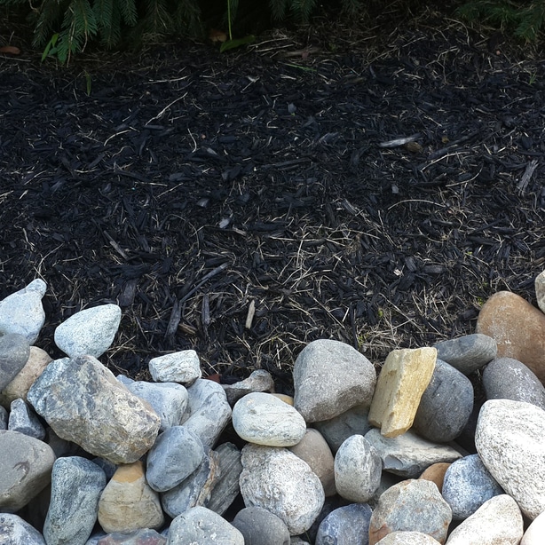 Rock vs Mulch — Which Should You Use? (PROs & CONs)