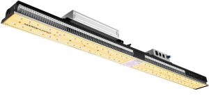 Mars hydro grow light will provide full spectrum to plants for optimal growth