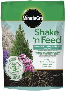 boxwood food best best spike fertilization for boxwood