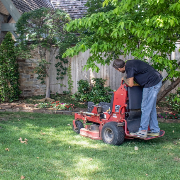 Allowing shaded grass to grow longer can prevent powdery mildew