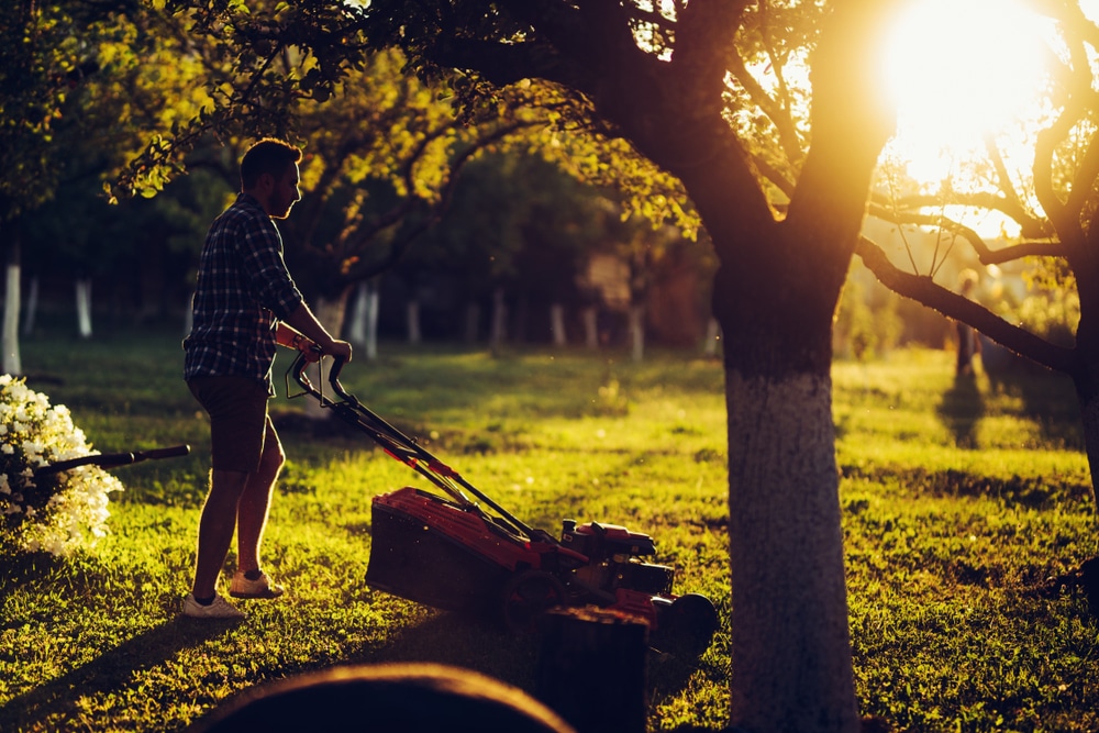 Mowing after dark should be avoided