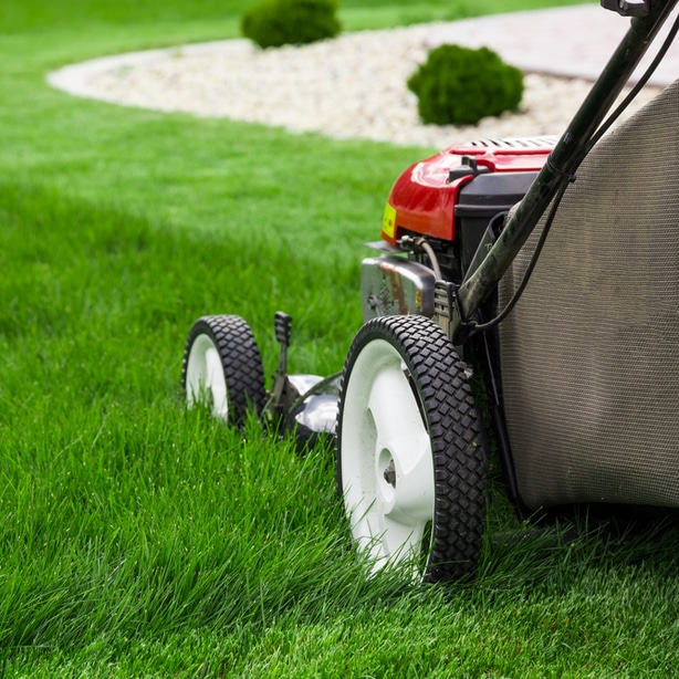 Mowing your lawn appropriately will allow for ideal health