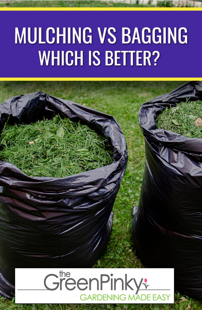 mulching or bagging clippings both have their own advantages