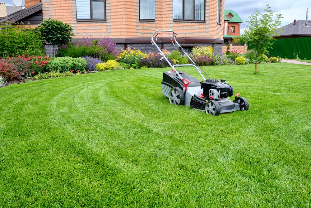 A lawnmower sits in the middle of a yard